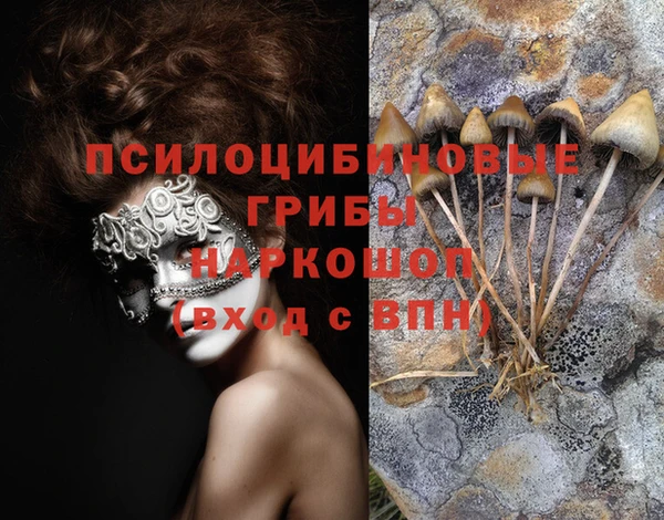 кокаин премиум Алексин